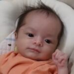 「サンバ夫婦」カルくんの病気とは?心疾患と舌小帯短縮症【カンタン解説】